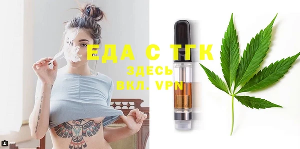 ECSTASY Алзамай