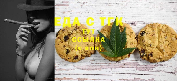 ECSTASY Алзамай