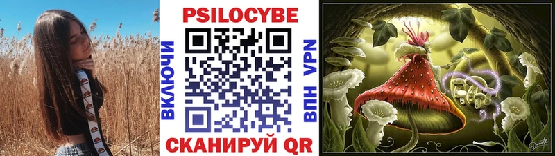 Псилоцибиновые грибы прущие грибы  Орск 