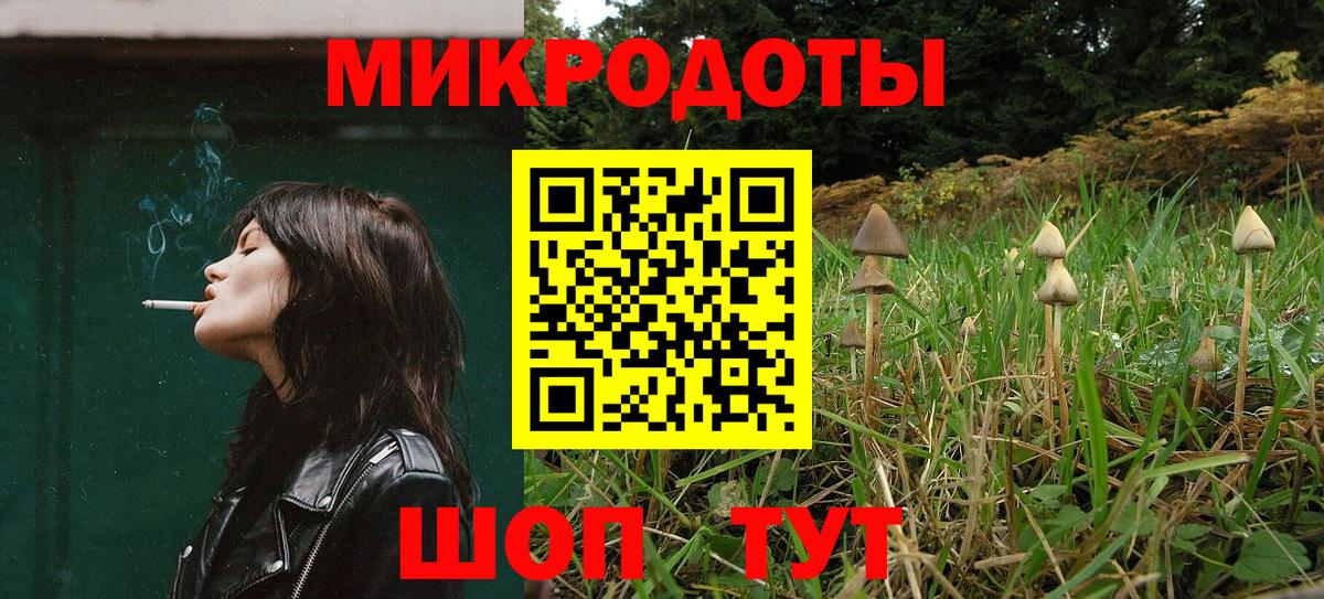 Псилоцибиновые грибы Psilocybine cubensis Орск